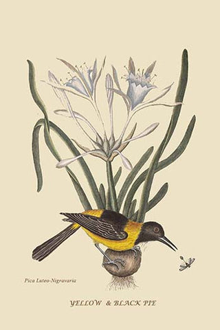 Whisper please, Image is sleeping.