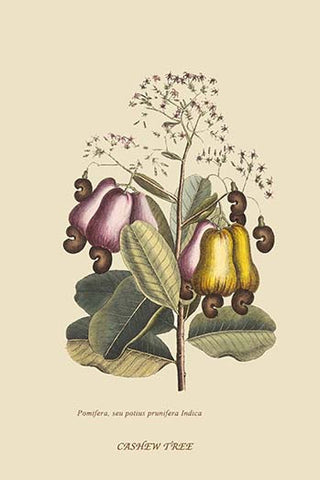 Whisper please, Image is sleeping.