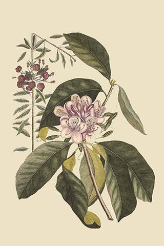 Whisper please, Image is sleeping.