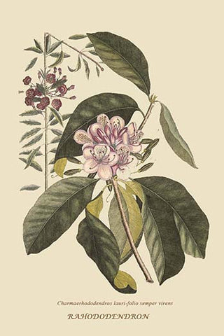 Whisper please, Image is sleeping.