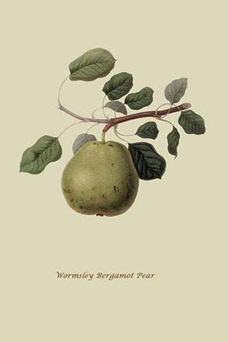 Whisper please, Image is sleeping.