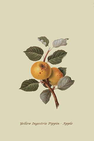 Whisper please, Image is sleeping.