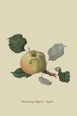 Whisper please, Image is sleeping.