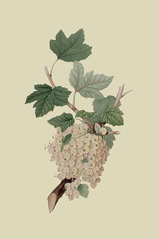 Whisper please, Image is sleeping.