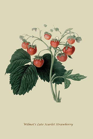 Whisper please, Image is sleeping.