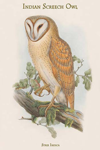 Whisper please, Image is sleeping.