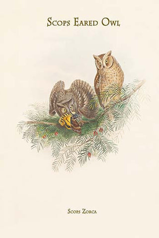 Whisper please, Image is sleeping.