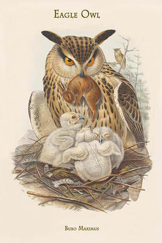 Whisper please, Image is sleeping.