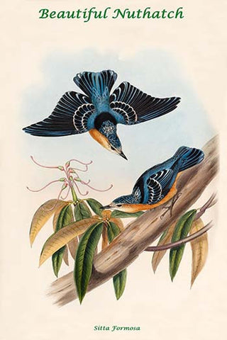 Whisper please, Image is sleeping.