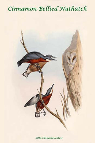 Whisper please, Image is sleeping.