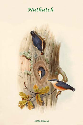 Whisper please, Image is sleeping.