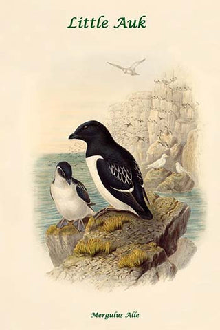 Whisper please, Image is sleeping.