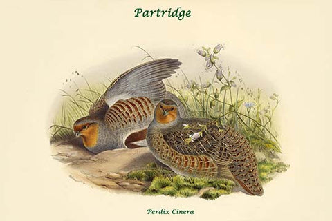 Whisper please, Image is sleeping.