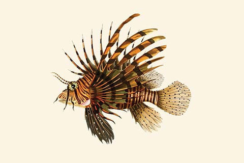 Whisper please, Image is sleeping.