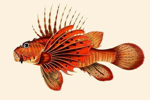 Whisper please, Image is sleeping.