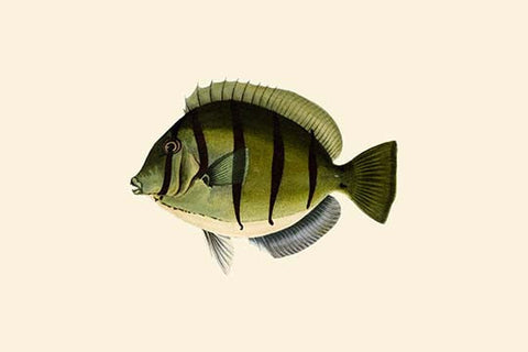 Whisper please, Image is sleeping.