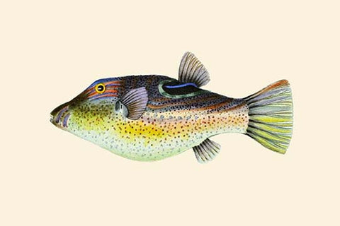 Whisper please, Image is sleeping.