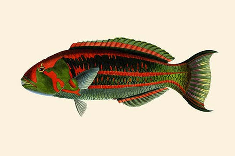 Whisper please, Image is sleeping.