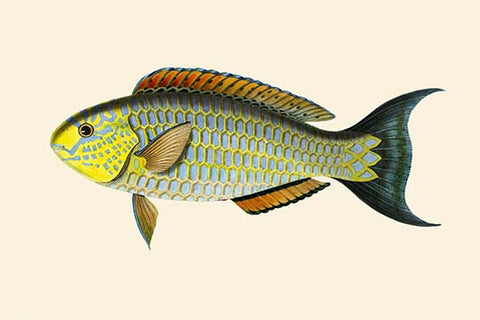 Whisper please, Image is sleeping.