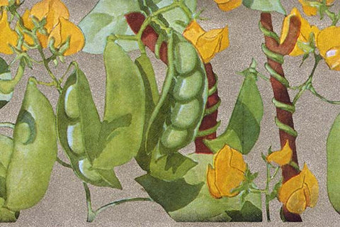 Whisper please, Image is sleeping.