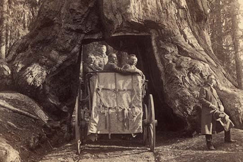 Whisper please, Image is sleeping.