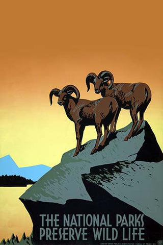 Whisper please, Image is sleeping.