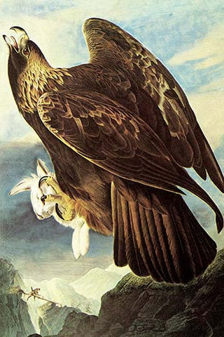 Whisper please, Image is sleeping.