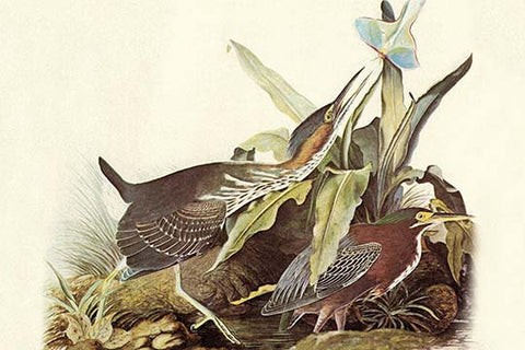 Whisper please, Image is sleeping.