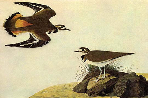 Whisper please, Image is sleeping.