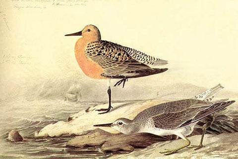 Whisper please, Image is sleeping.