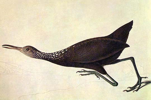 Whisper please, Image is sleeping.