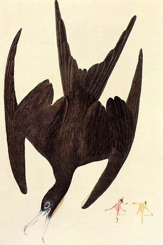 Whisper please, Image is sleeping.