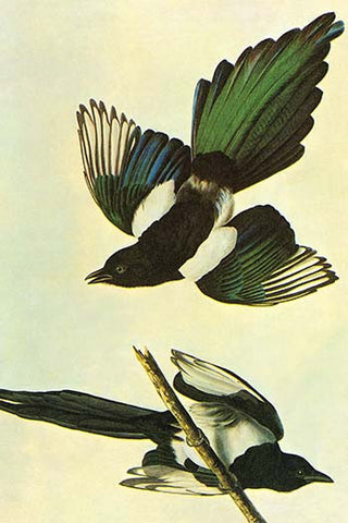 Whisper please, Image is sleeping.