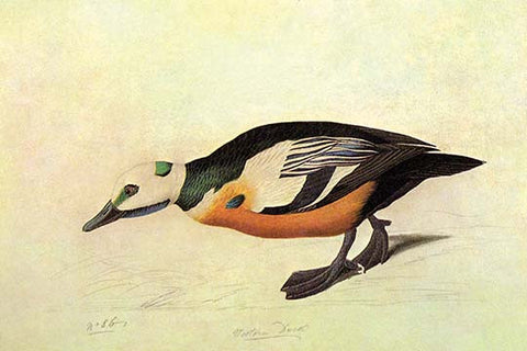 Whisper please, Image is sleeping.