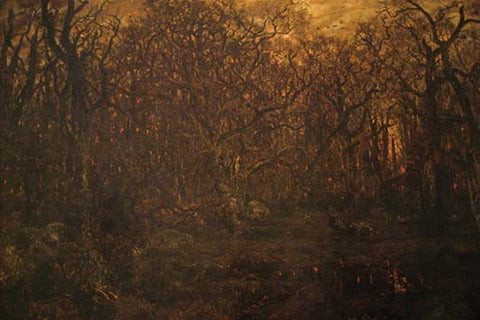 Whisper please, Image is sleeping.