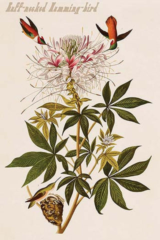 Whisper please, Image is sleeping.