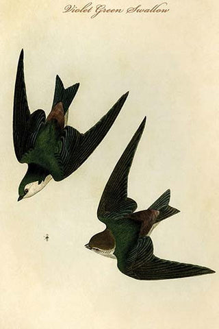 Whisper please, Image is sleeping.