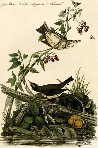 Whisper please, Image is sleeping.