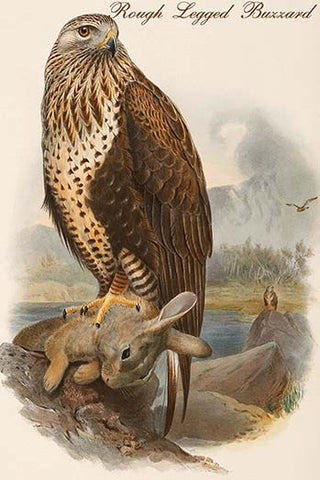 Whisper please, Image is sleeping.