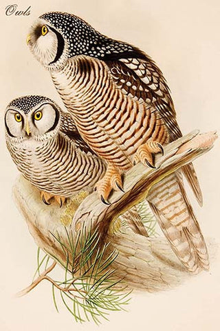 Whisper please, Image is sleeping.