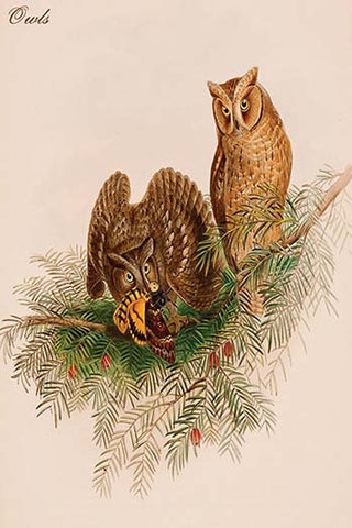 Whisper please, Image is sleeping.