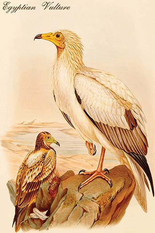 Whisper please, Image is sleeping.