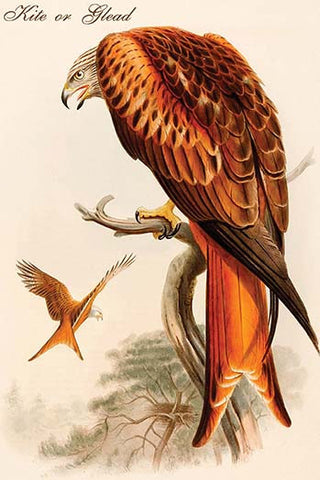 Whisper please, Image is sleeping.