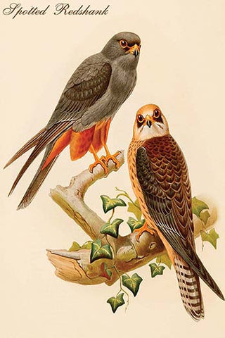 Whisper please, Image is sleeping.