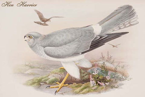 Whisper please, Image is sleeping.