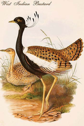 Whisper please, Image is sleeping.