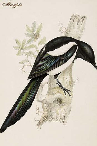 Whisper please, Image is sleeping.