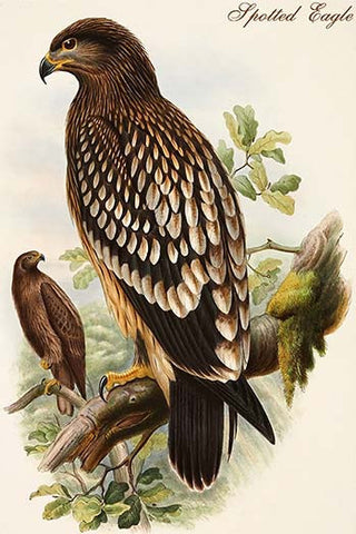 Whisper please, Image is sleeping.