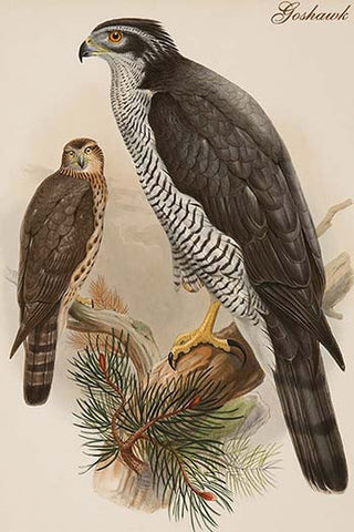 Whisper please, Image is sleeping.