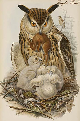 Whisper please, Image is sleeping.